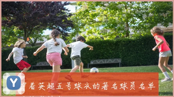 穿着英超五号球衣的著名球员名单及技术特点