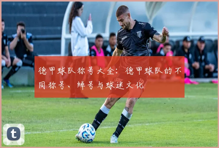 德甲球队称号大全:德甲球队的不同称号、绰号与球迷文化