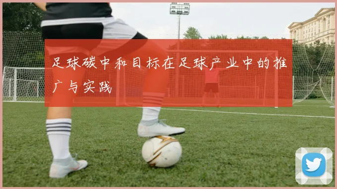 足球碳中和目标在足球产业中的推广与实践