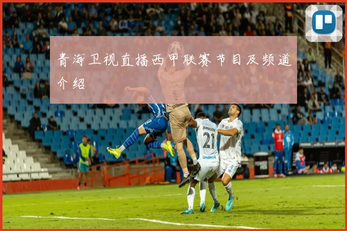 青海卫视直播西甲联赛节目及频道介绍