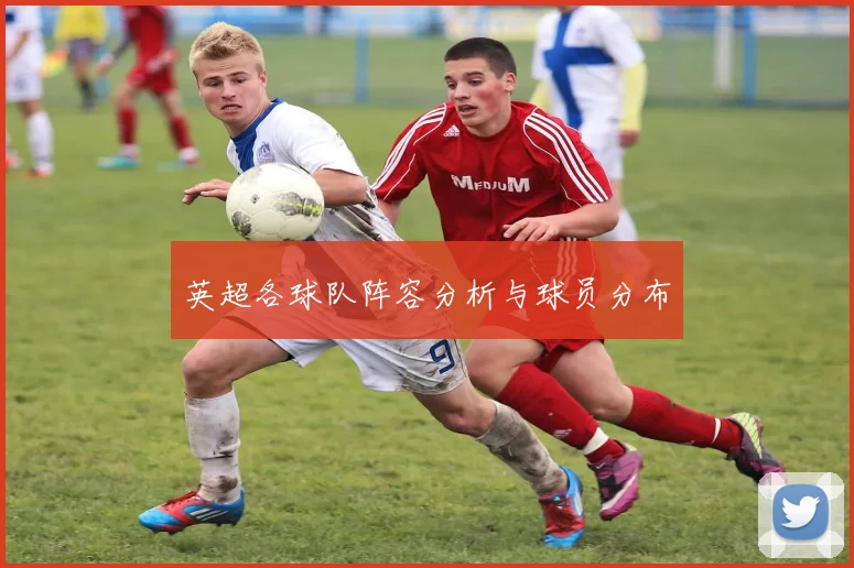 英超各球队阵容分析与球员分布